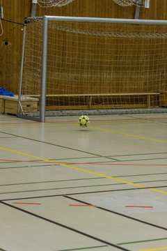 Bild 229 - C-Juniorinnen Hausturnier